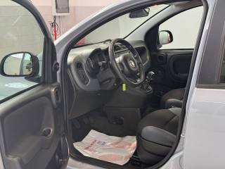 FIAT Panda usata 16