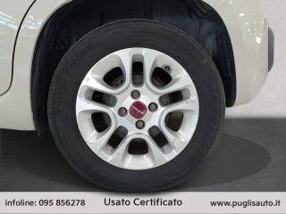 FIAT Panda usata 13