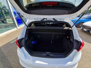 FORD Fiesta usata, con Fendinebbia