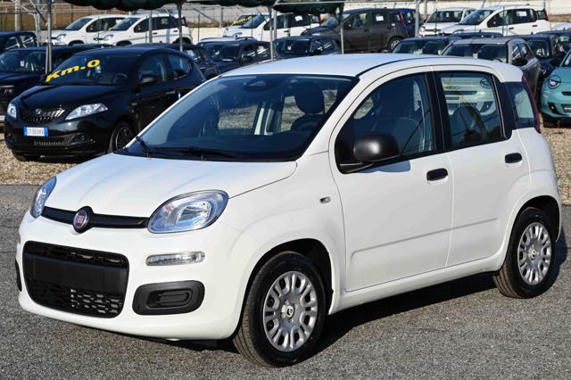 FIAT Panda usata, con Volante multifunzione