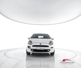 FIAT Punto usata 4