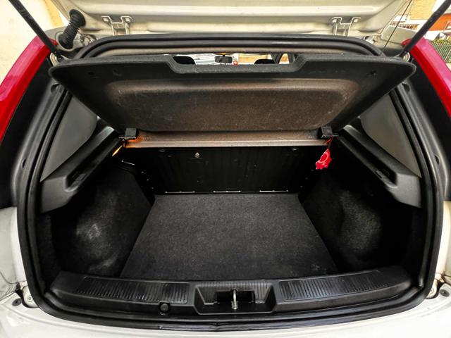 FIAT Punto usata, con Servosterzo