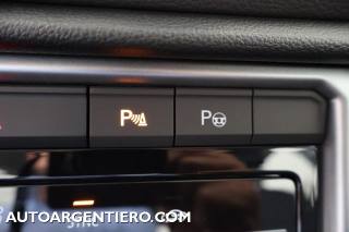 VOLKSWAGEN T-Roc usata, con ESP