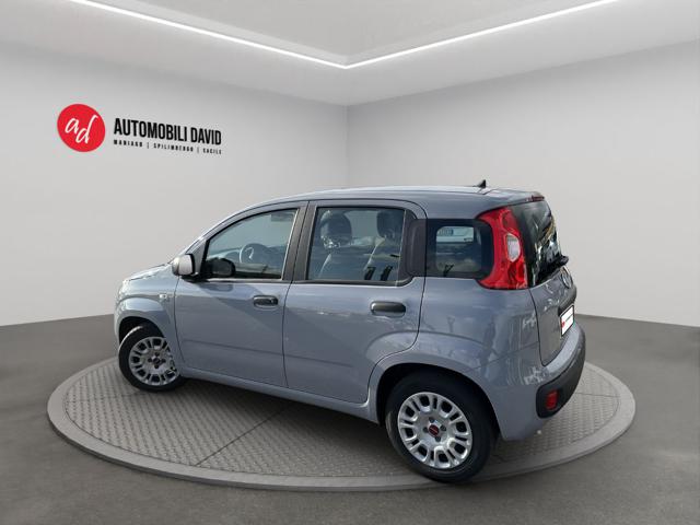 FIAT Panda usata, con Airbag Passeggero
