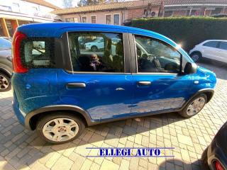 FIAT Panda usata, con Alzacristalli elettrici