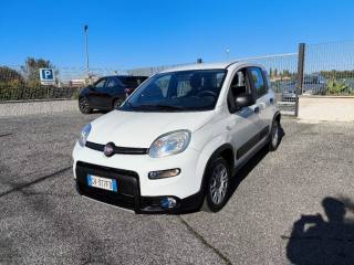 FIAT Panda usata 2