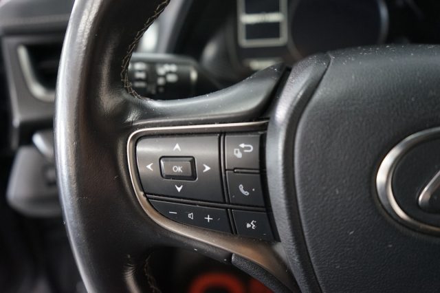 LEXUS UX 250h usata 29