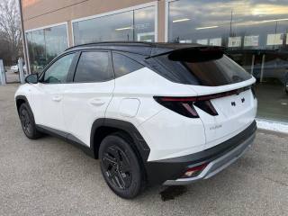 HYUNDAI Tucson usata, con Cerchi in lega