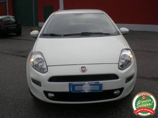FIAT Punto usata, con Airbag Passeggero