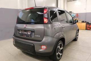 FIAT Panda usata, con Autoradio