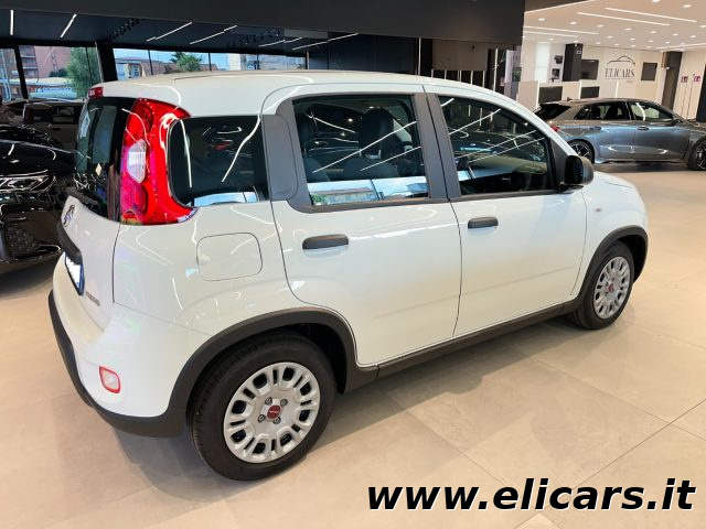 FIAT Panda usata, con Antifurto