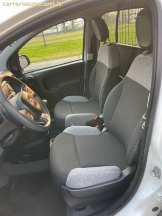 FIAT Panda usata, con Controllo trazione