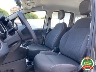 FIAT Panda usata, con Controllo trazione
