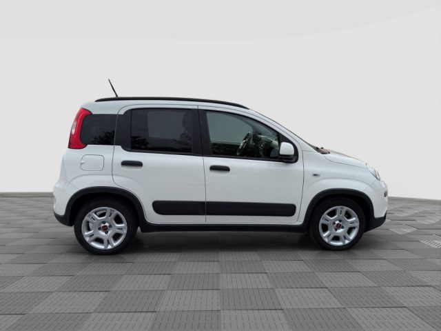 FIAT Panda usata 5