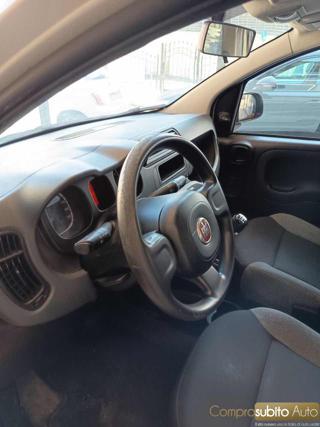 FIAT Panda usata, con Controllo trazione
