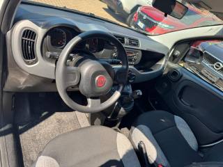 FIAT Panda usata, con Climatizzatore