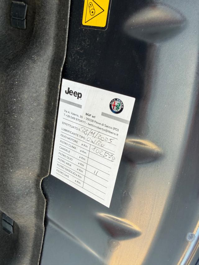 ALFA ROMEO Stelvio usata 66