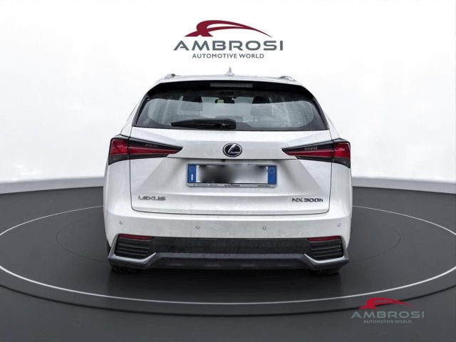 LEXUS NX 300h usata 7