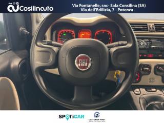 FIAT Panda usata, con Fendinebbia
