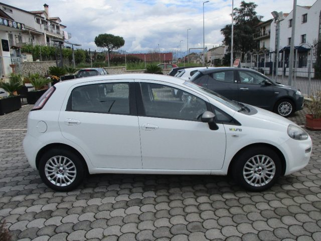 FIAT Punto usata, con Airbag Passeggero