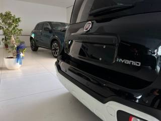 FIAT Panda usata, con Cronologia tagliandi