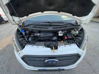 FORD Transit Custom usata, con Bracciolo