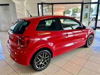 VOLKSWAGEN Polo usata, con Cerchi in lega