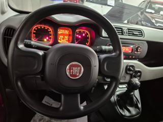 FIAT Panda usata, con Controllo trazione