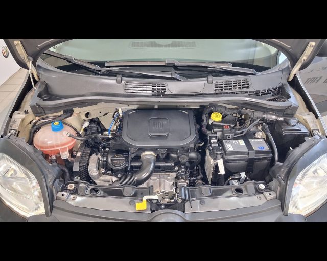 FIAT New Panda usata 24