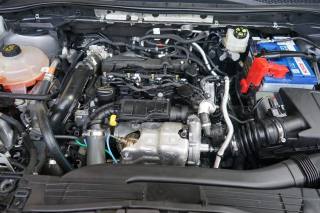 FORD Kuga usata, con Airbag testa