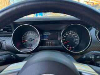 FORD Mustang usata, con Fendinebbia