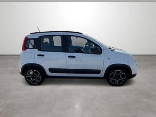 FIAT Panda usata, con Controllo trazione