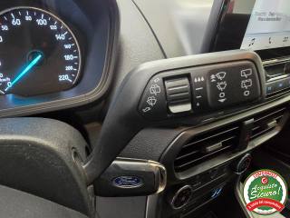 FORD EcoSport usata, con Bracciolo