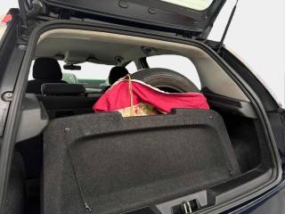 FIAT Punto usata, con Immobilizzatore elettronico