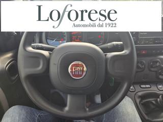 FIAT Panda usata, con Servosterzo