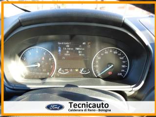 FORD EcoSport usata, con Servosterzo