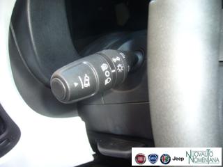 FIAT Panda Cross usata, con Volante in pelle
