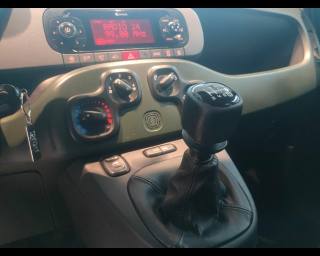 FIAT New Panda usata, con Parabrezza riscaldabile