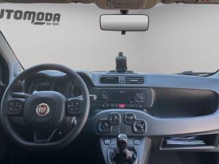 FIAT Panda usata, con ESP