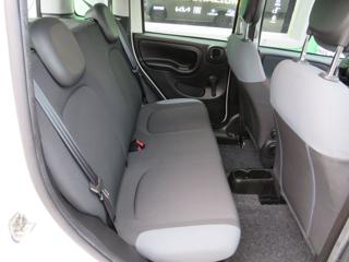 FIAT Panda usata 14
