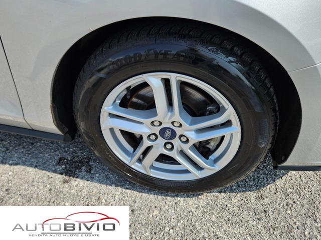 FORD Focus usata, con Servosterzo