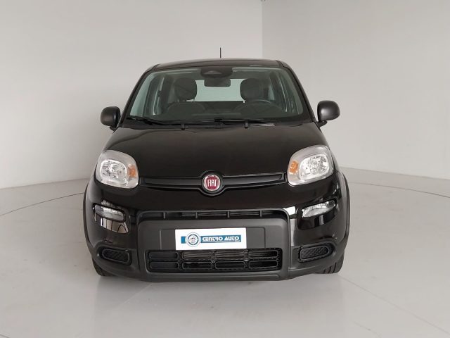 FIAT Panda usata, con Airbag Passeggero