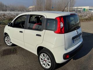 FIAT Panda usata, con Controllo trazione