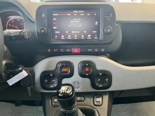 FIAT Panda Cross usata, con USB
