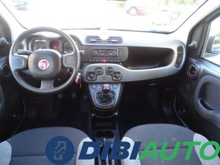 FIAT Panda usata, con Immobilizzatore elettronico
