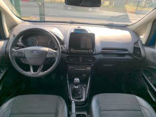FORD EcoSport usata, con Cronologia tagliandi