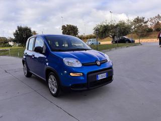 FIAT Panda usata 49