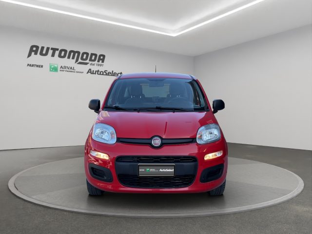 FIAT Panda usata, con Controllo trazione