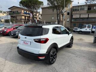 FORD EcoSport usata, con Cronologia tagliandi