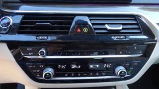 BMW 530 usata 115